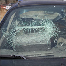 Glass Replacement